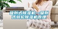 吸附式除湿机—吸附式转轮除湿机原理