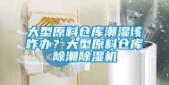 大型原料仓库潮湿该咋办？大型原料仓库除潮除湿机