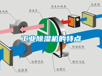 常见问题工业除湿机的特点