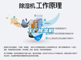 企业新闻工厂除湿机