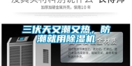 三伏天又潮又热，防潮就用除湿机