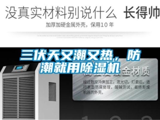 行业新闻三伏天又潮又热，防潮就用除湿机