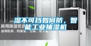 湿不可挡如何防，智能工业抽湿机
