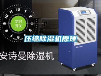 行业新闻压缩除湿机原理