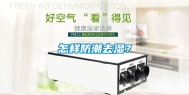 怎样防潮去湿？