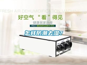 常见问题怎样防潮去湿？