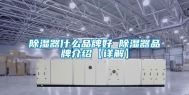 除湿器什么品牌好 除湿器品牌介绍【详解】