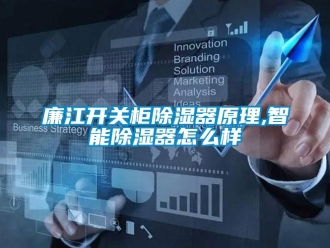 行业新闻廉江开关柜除湿器原理,智能除湿器怎么样