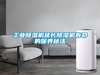 企业新闻工业除湿机延长除湿机寿命的保养秘法