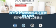 步入式大型恒温恒湿试验箱进口品牌