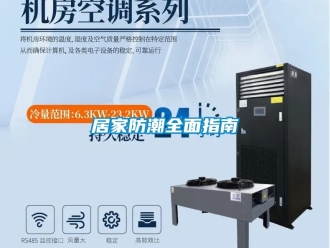 常见问题居家防潮全面指南