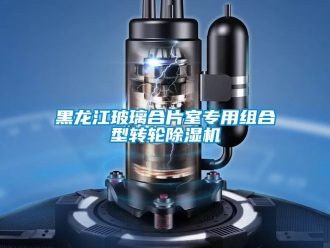 常见问题黑龙江玻璃合片室专用组合型转轮除湿机