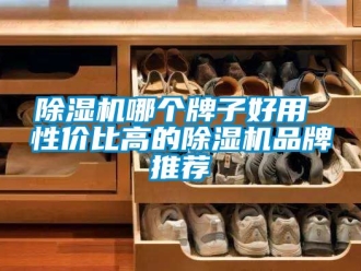 企业新闻除湿机哪个牌子好用 性价比高的除湿机品牌推荐