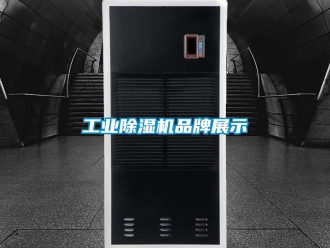 常见问题工业除湿机品牌展示