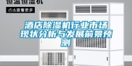酒店除湿机行业市场现状分析与发展前景预测