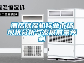 行业新闻酒店除湿机行业市场现状分析与发展前景预测