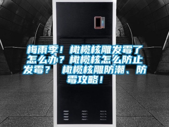 常见问题梅雨季！橄榄核雕发霉了怎么办？橄榄核怎么防止发霉？ 橄榄核雕防潮、防霉攻略！