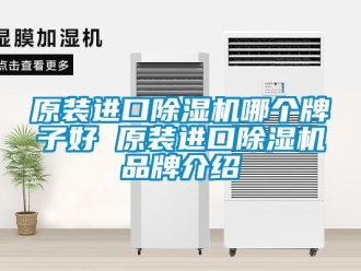 企业新闻原装进口除湿机哪个牌子好 原装进口除湿机品牌介绍