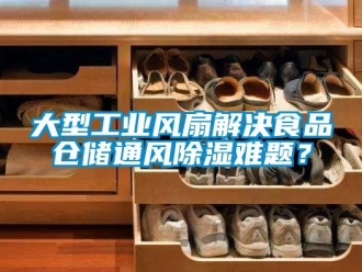 企业新闻大型工业风扇解决食品仓储通风除湿难题？
