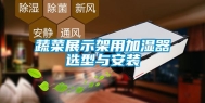 蔬菜展示架用加湿器选型与安装