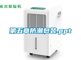 企业新闻第五章防潮包装.ppt