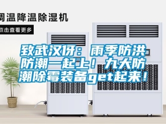 常见问题致武汉伢：雨季防洪防潮一起上！九大防潮除霉装备get起来！