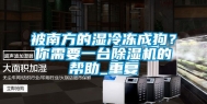 被南方的湿冷冻成狗？你需要一台除湿机的帮助_重复
