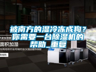 企业新闻被南方的湿冷冻成狗？你需要一台除湿机的帮助_重复