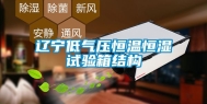 辽宁低气压恒温恒湿试验箱结构