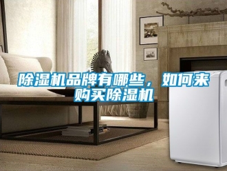 企业新闻除湿机品牌有哪些，如何来购买除湿机