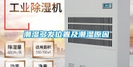 潮湿多发位置及潮湿原因