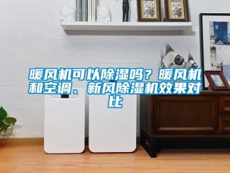 常见问题暖风机可以除湿吗？暖风机和空调、新风除湿机效果对比