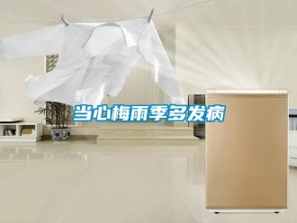企业新闻当心梅雨季多发病