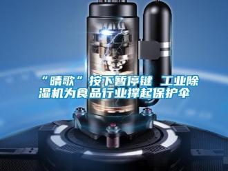 常见问题“晴歌”按下暂停键 工业除湿机为食品行业撑起保护伞