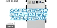 大容量恒温恒湿培养箱HWS-1000实验室恒温加湿箱70升