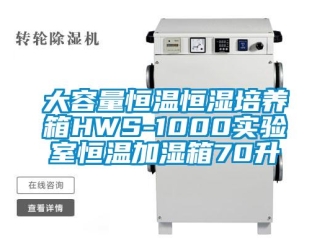 知识百科大容量恒温恒湿培养箱HWS-1000实验室恒温加湿箱70升