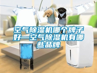企业新闻空气除湿机哪个牌子好—空气除湿机有哪些品牌