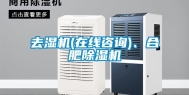 去湿机(在线咨询)、合肥除湿机