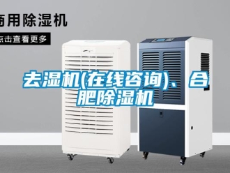 行业新闻去湿机(在线咨询)、合肥除湿机