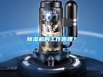 企业新闻除湿机的工作原理？