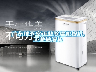 常见问题广东地下室工业除湿机报价,工业抽湿机
