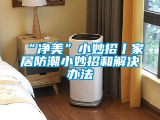 企业新闻“净美”小妙招丨家居防潮小妙招和解决办法
