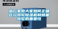 由厂家教大家如何正确区分转轮除湿机和蜂巢转轮的重要性