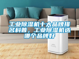 常见问题工业除湿机十大品牌排名科普，工业除湿机选哪个品牌好