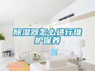 行业新闻除湿器怎么进行维护保养