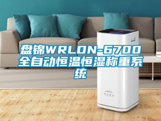知识百科盘锦WRLDN-6700全自动恒温恒湿称重系统