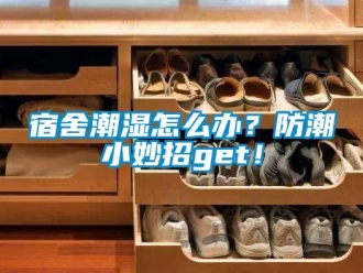 常见问题宿舍潮湿怎么办？防潮小妙招get！