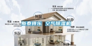 斯泰得乐 空气除湿机