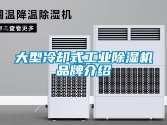 常见问题大型冷却式工业除湿机品牌介绍
