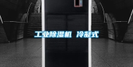 工业除湿机 冷凝式